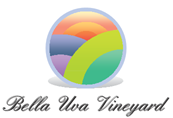 Bella Uva Vineyard