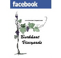 Burkhart Vineyards Facebook